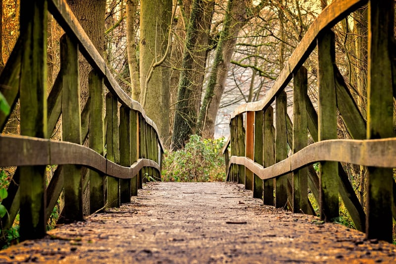 Park Pathway